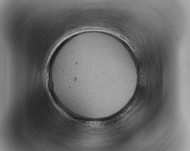 X0000093401511200711091331