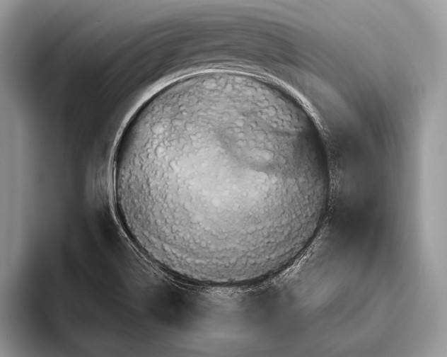 X0000093401514200711091331