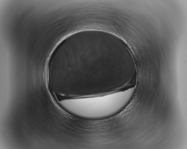 X0000093401515200711091331