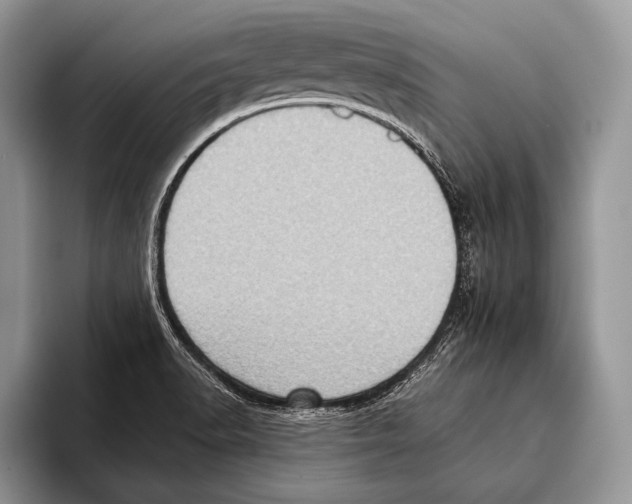 X0000093401518200711091331