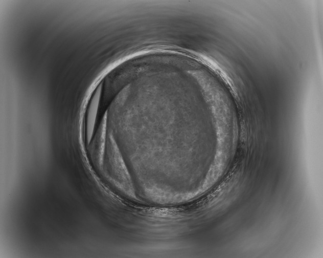 X0000093401520200711091331