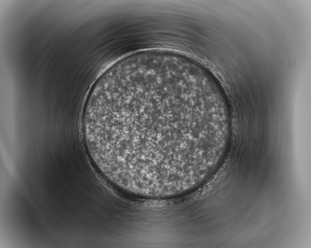 X0000093401521200711091331