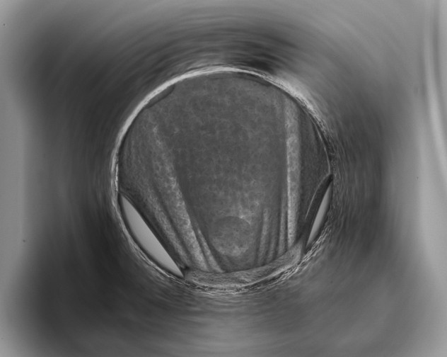 X0000093401524200711091332