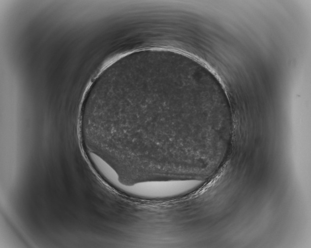 X0000093401525200711091332