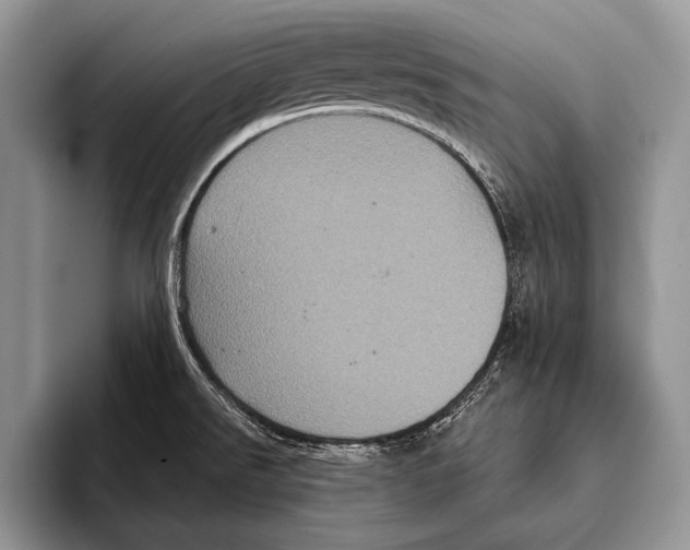 X0000093401526200711091332