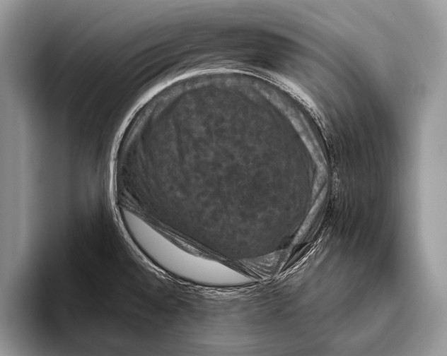 X0000093401528200711091332