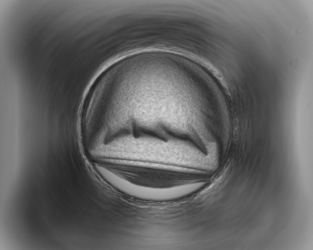 X0000093401530200711091332