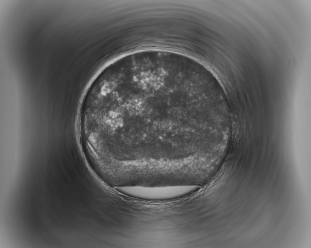 X0000093401531200711091332