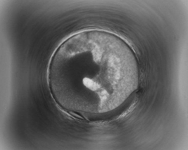 X0000093401535200711091332