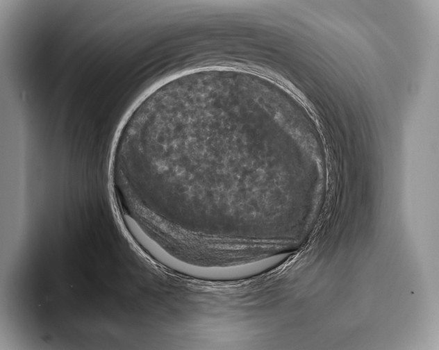 X0000093401536200711091332