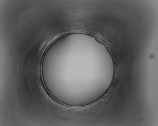 X0000093410002200710120925