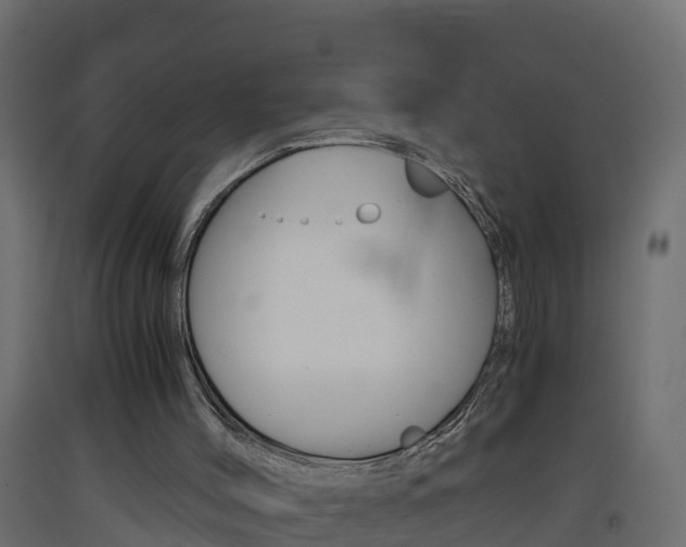 X0000093410004200710120925