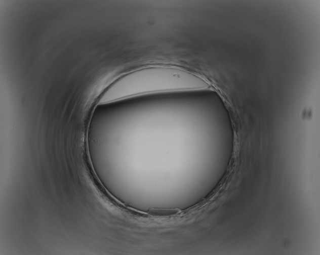 X0000093410005200710120925