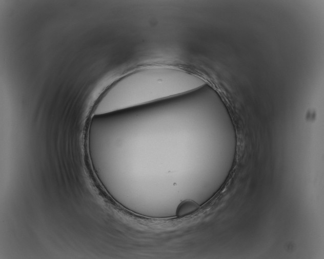 X0000093410006200710120925