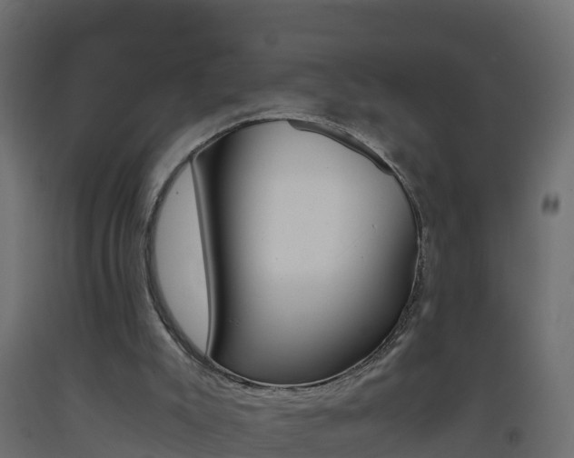 X0000093410007200710120925