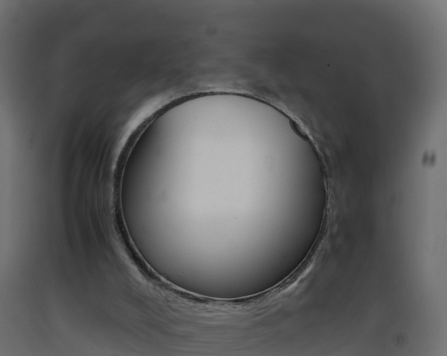 X0000093410008200710120925