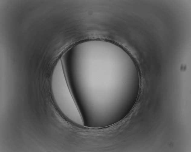 X0000093410009200710120925