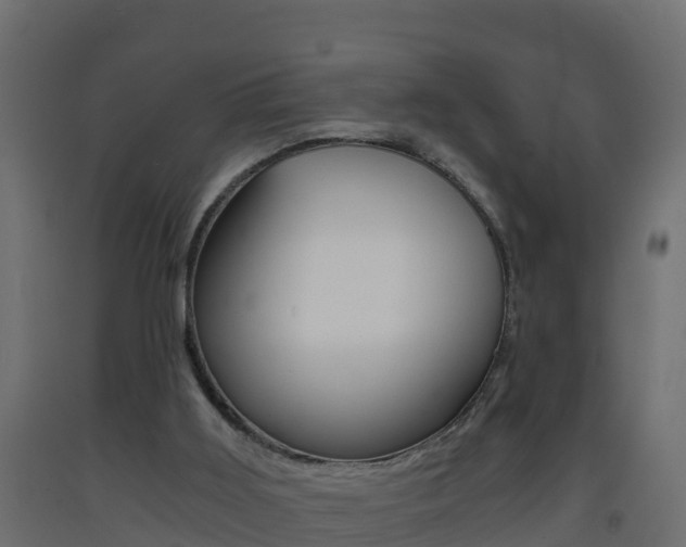 X0000093410011200710120925
