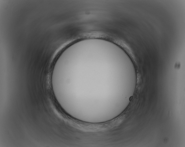 X0000093410012200710120925