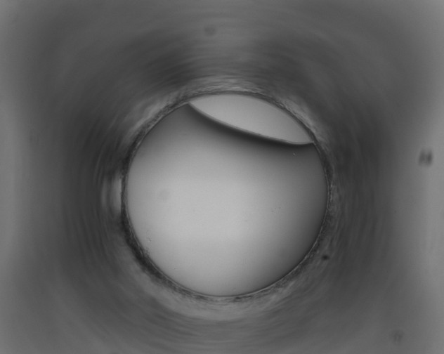 X0000093410014200710120925