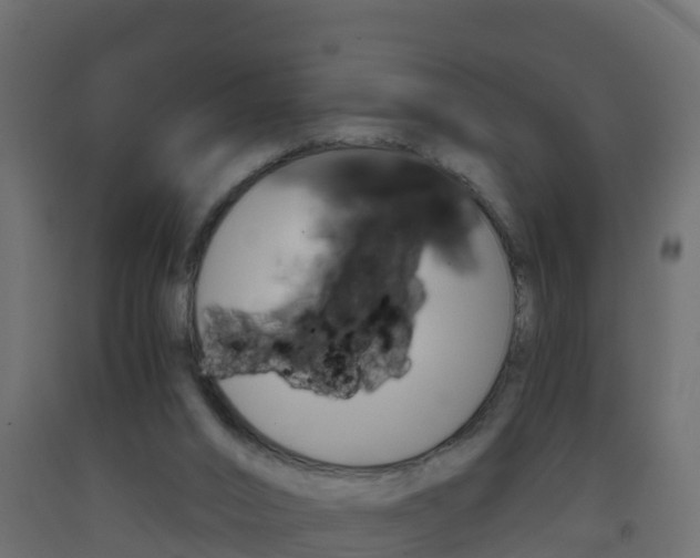 X0000093410016200710120925