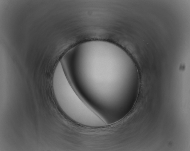 X0000093410017200710120925
