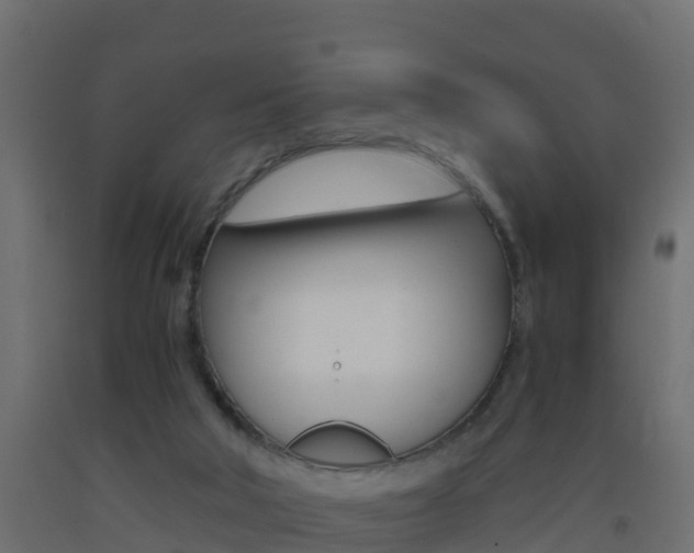 X0000093410018200710120925