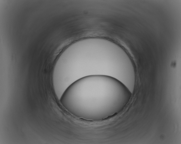 X0000093410019200710120925