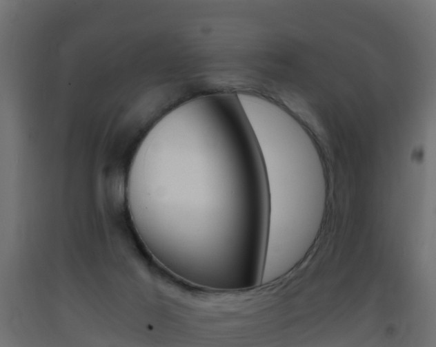 X0000093410021200710120925