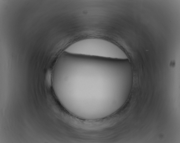 X0000093410022200710120925