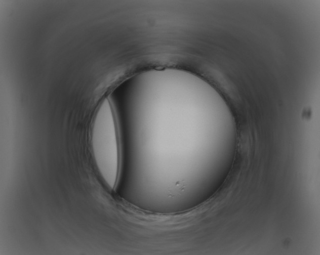 X0000093410023200710120925