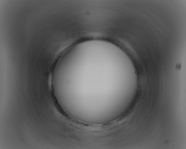 X0000093410024200710120925