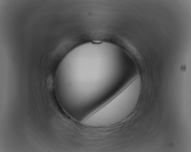 X0000093410025200710120925