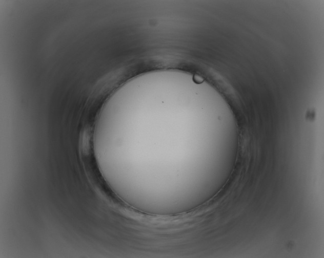 X0000093410026200710120925
