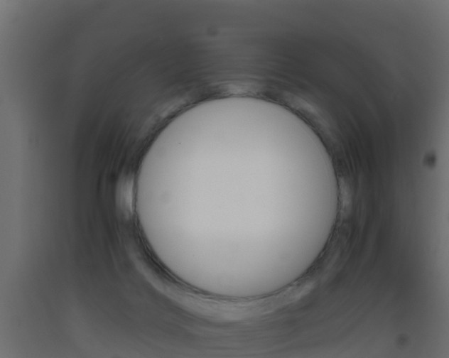 X0000093410028200710120925