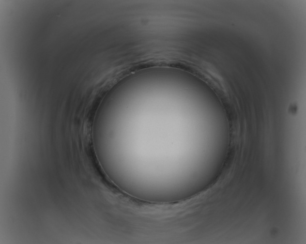 X0000093410029200710120925