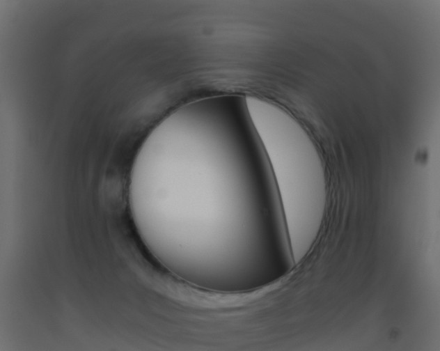 X0000093410031200710120925