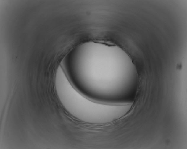 X0000093410033200710120925