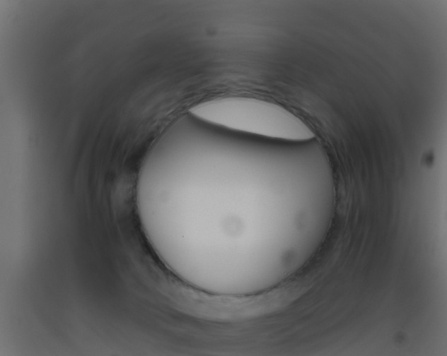 X0000093410034200710120925