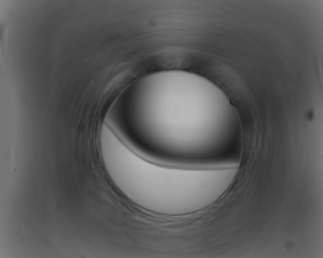 X0000093410035200710120925