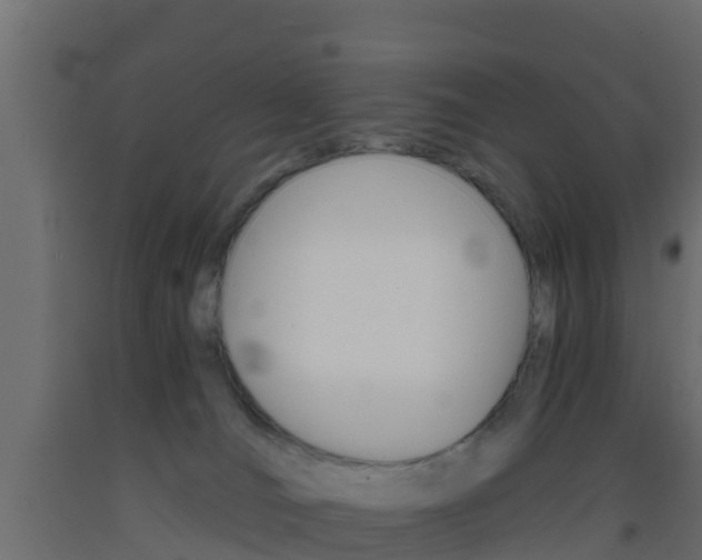 X0000093410036200710120925
