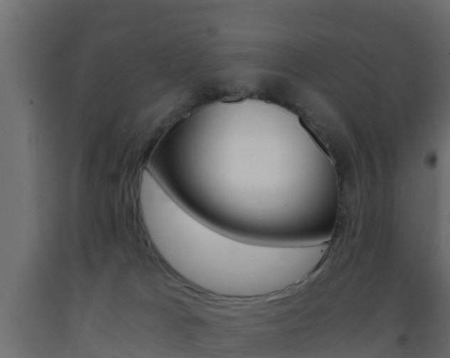 X0000093410037200710120925