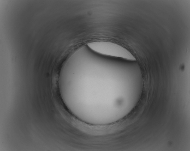 X0000093410038200710120924