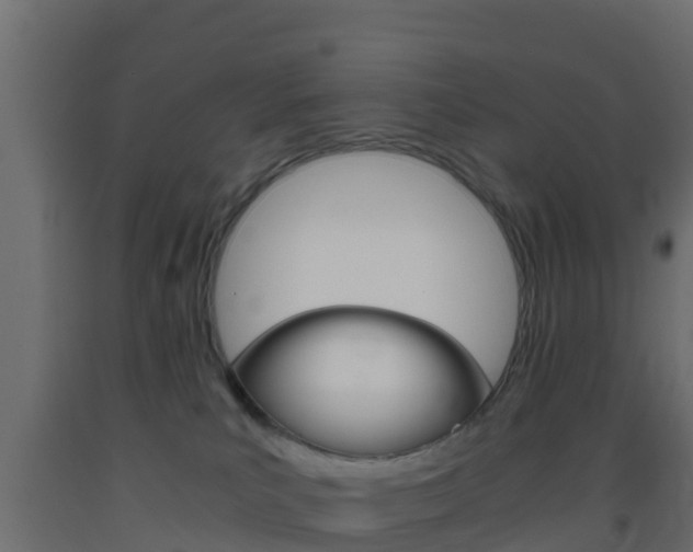 X0000093410039200710120924