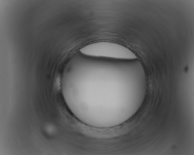 X0000093410042200710120924