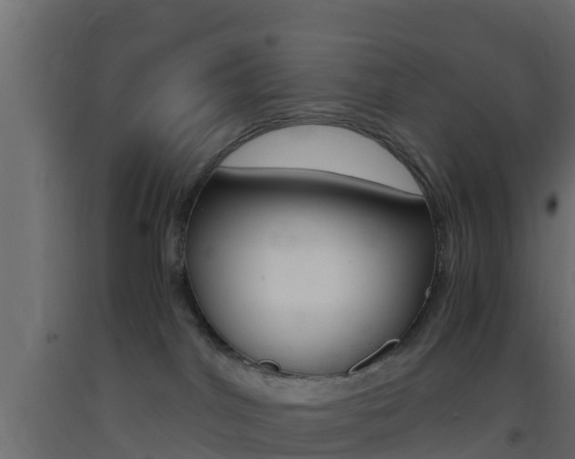 X0000093410044200710120924