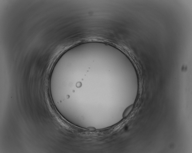 X0000093410049200710120924