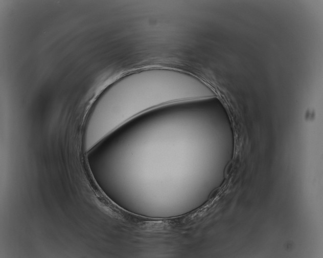 X0000093410050200710120924