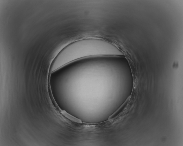 X0000093410052200710120924