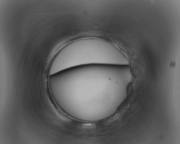 X0000093410053200710120924